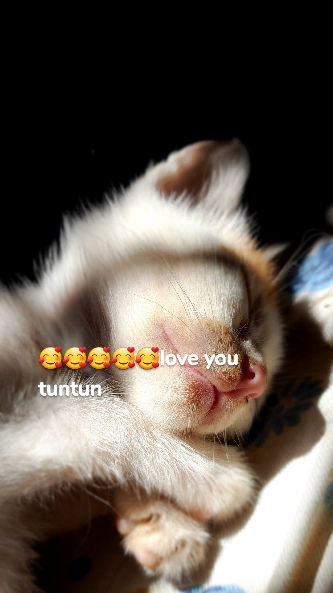 🥰🥰🥰🥰🥰love you tuntun